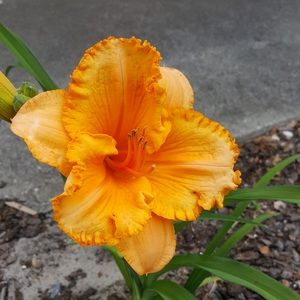 Meet your Posher, 910 Finds